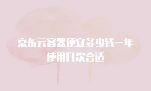 京东云容器便宜多少钱一年使用几次合适