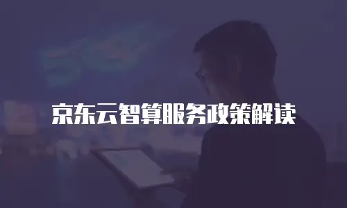 京东云智算服务政策解读