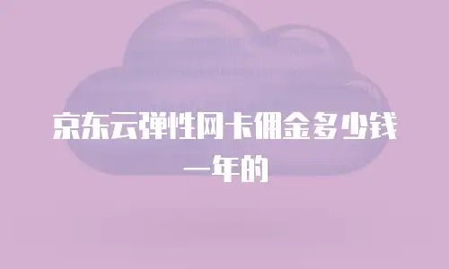 京东云弹性网卡佣金多少钱一年的