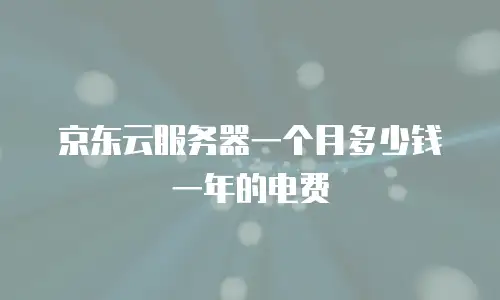 京东云服务器一个月多少钱一年的电费