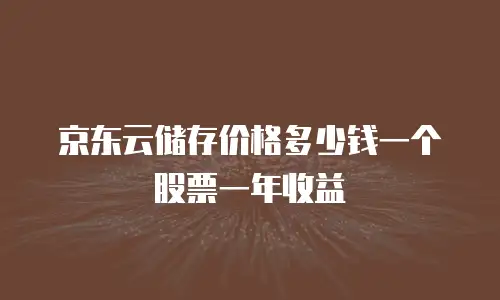 京东云储存价格多少钱一个股票一年收益