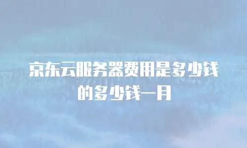 京东云服务器费用是多少钱的多少钱一月