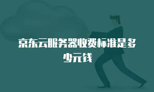 京东云服务器收费标准是多少元钱