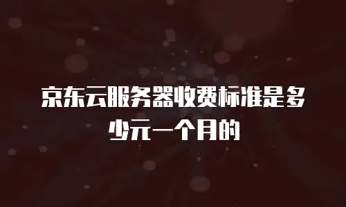 京东云服务器收费标准是多少元一个月的