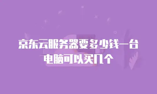 京东云服务器要多少钱一台电脑可以买几个