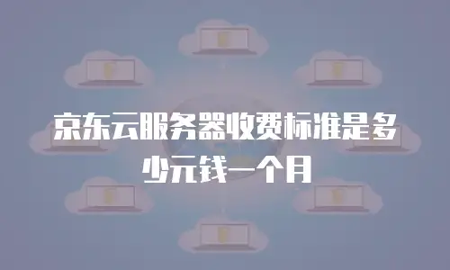 京东云服务器收费标准是多少元钱一个月