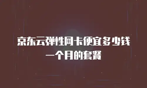京东云弹性网卡便宜多少钱一个月的套餐