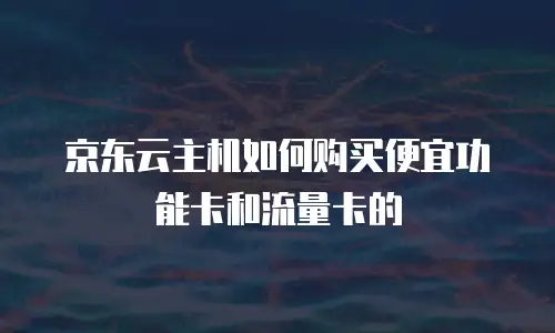 京东云主机如何购买便宜功能卡和流量卡的