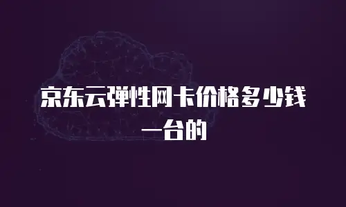 京东云弹性网卡价格多少钱一台的