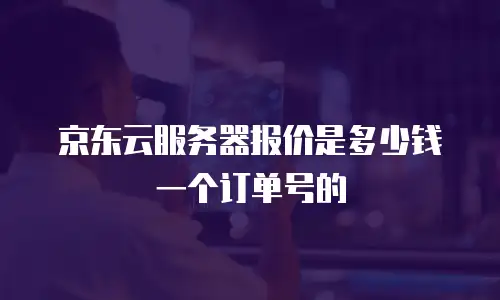 京东云服务器报价是多少钱一个订单号的