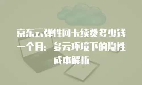 京东云弹性网卡续费多少钱一个月：多云环境下的隐性成本解析
