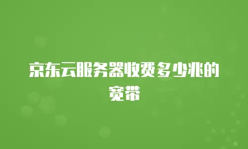 京东云服务器收费多少兆的宽带
