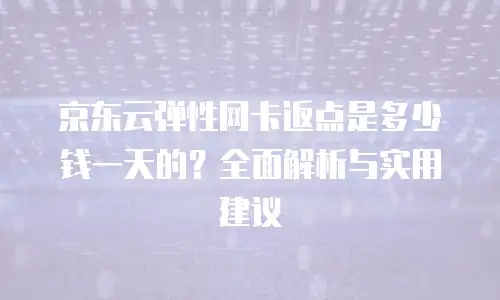 京东云弹性网卡返点是多少钱一天的？全面解析与实用建议