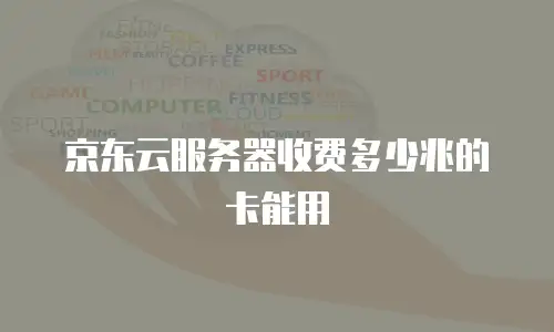 京东云服务器收费多少兆的卡能用