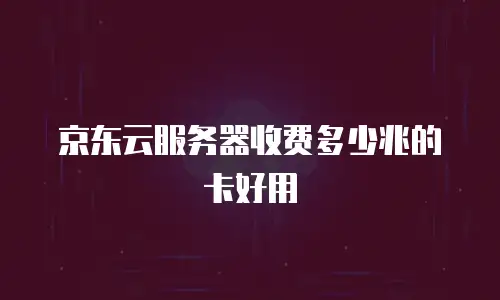 京东云服务器收费多少兆的卡好用