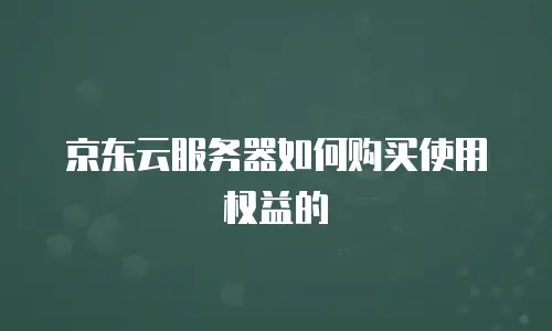 京东云服务器如何购买使用权益的