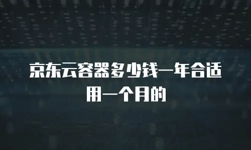 京东云容器多少钱一年合适用一个月的