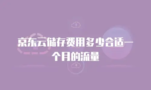 京东云储存费用多少合适一个月的流量
