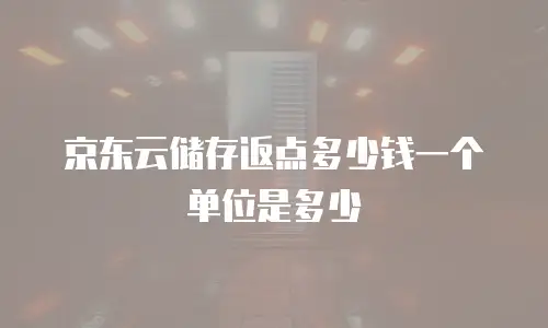 京东云储存返点多少钱一个单位是多少