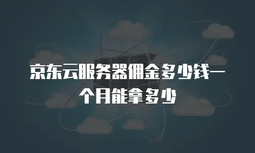 京东云储存费用是多少元的