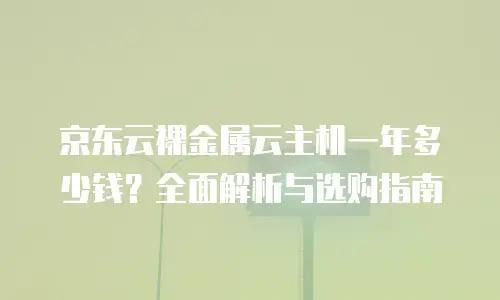 京东云弹性网卡优惠多少钱一个月？全面解读成本与价值 