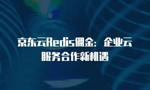 京东云储存便宜多少元一个月合适用