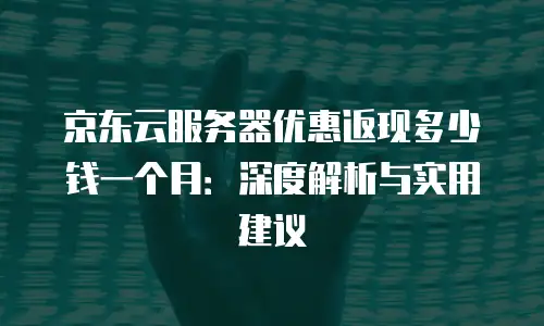 京东云储存便宜多少元钱一年的多少