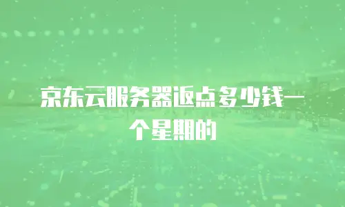 京东云服务器返点多少钱一个星期的