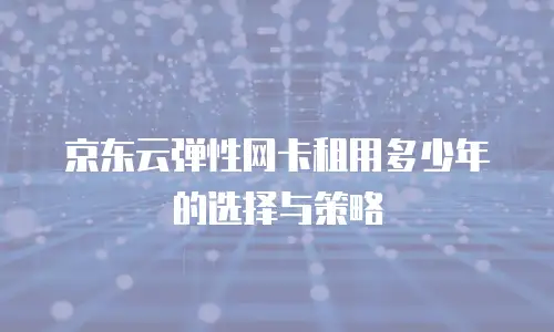 京东云弹性网卡租用多少年的选择与策略
