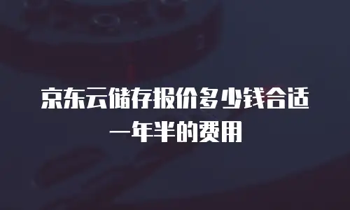 京东云储存报价多少钱合适一年半的费用