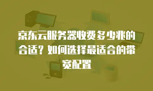 京东云网络安全租用：构建数字时代的防护盾牌