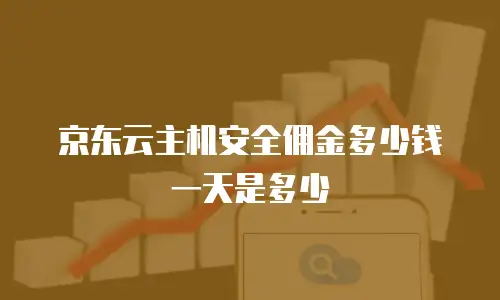 京东云公网IP返佣：如何通过智能合作实现资源优化与收益增长