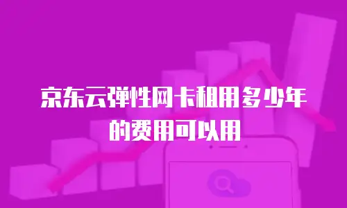 京东云弹性网卡租用多少年的费用可以用