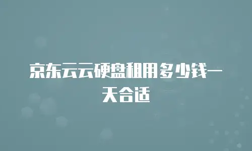 京东云云硬盘租用多少钱一天合适