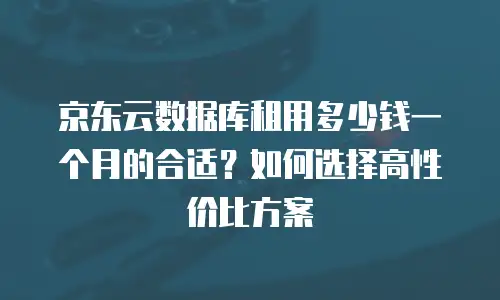 京东云储存一个月多少钱收费：全面解析与选择建议