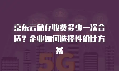 京东云弹性网卡返点是多少钱一个月的流量