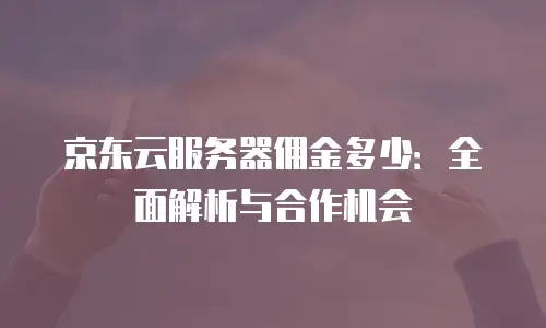 京东云容器租用多少钱一天？全面解析与实用建议