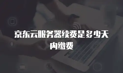 京东云储存报价多少钱合适一年半
