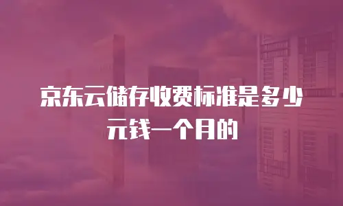 京东云储存收费标准是多少元钱一个月的