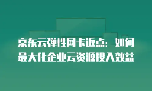 京东云公网IP返现多久到账户里操作的全流程解析