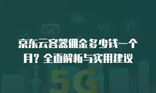京东云服务器返点多少钱一次：全面解析与实用建议