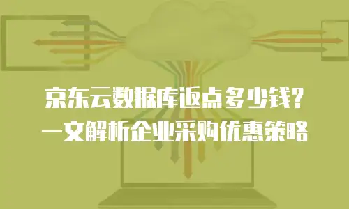 京东云储存便宜多少元钱一年的：成本优化与行业对比分析