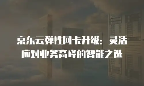 京东云弹性网卡升级：灵活应对业务高峰的智能之选