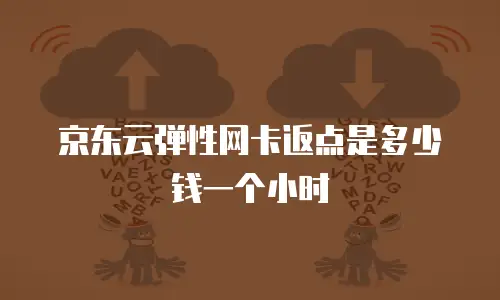 京东云弹性网卡返点是多少钱一个小时