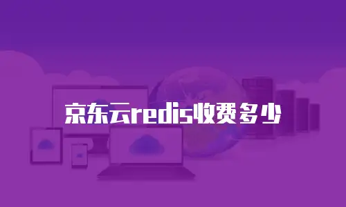 京东云原生容器续费是多少钱一年