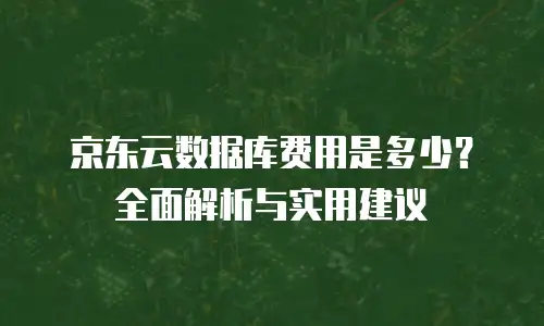 京东云公网IP政策分析：灵活性与成本效益的平衡之道