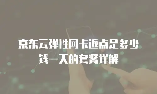 京东云弹性网卡返点是多少钱一天的套餐详解