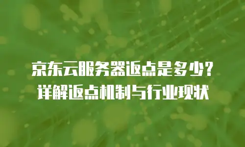 京东云服务器租赁费用是多少钱一年