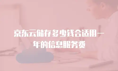 京东云轻量云主机政策解读：新用户红利与产品优势全解析
