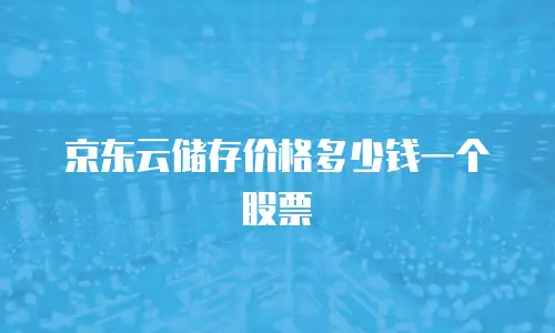 京东云储存价格多少钱一个股票